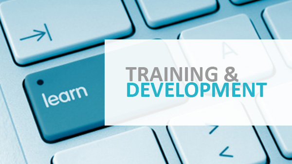 Training and Development