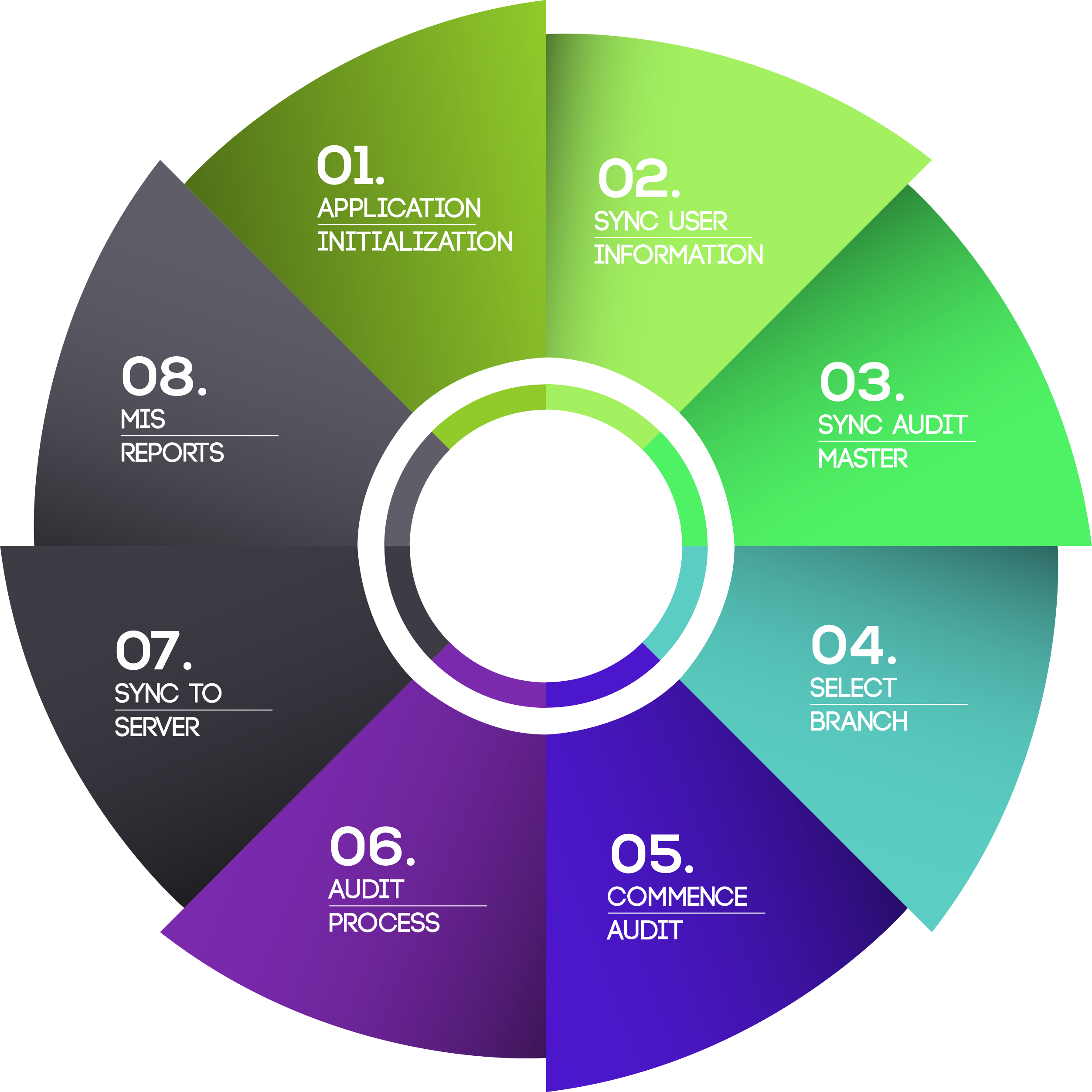 MFI Audit Application