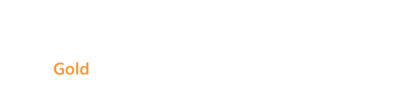 MICROSOFT GOLD PARTNER 