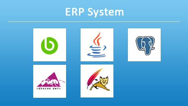 ERP System