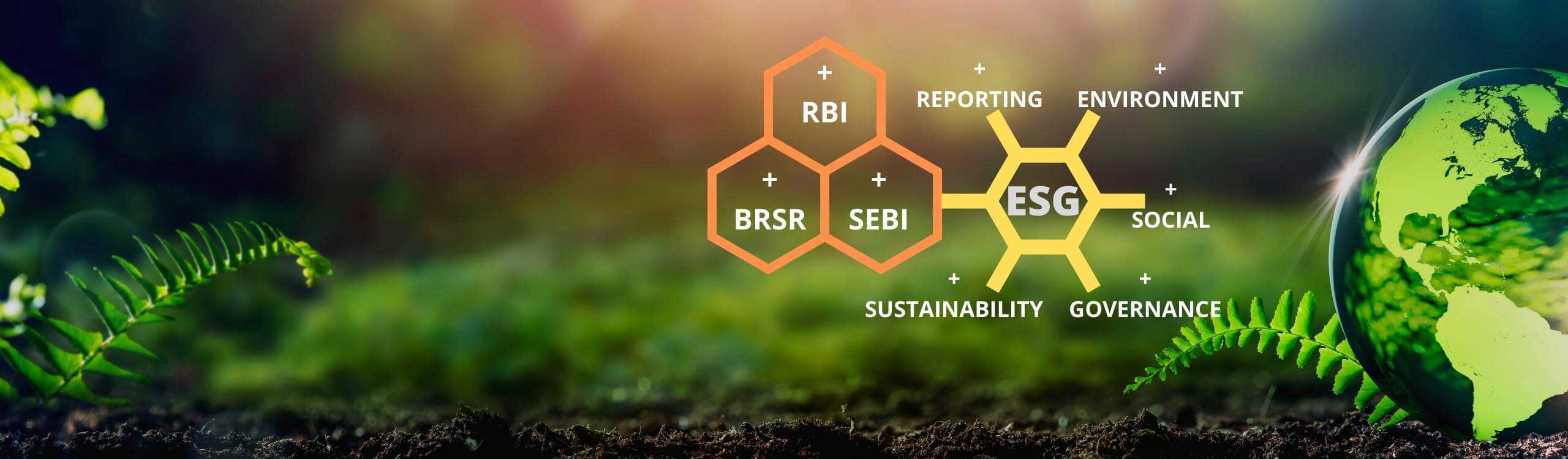 Environmental Social Governance â€“ ESG Compliance and Sustainability